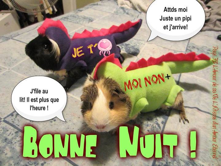 [Image: bonne-nuit-106.jpg]