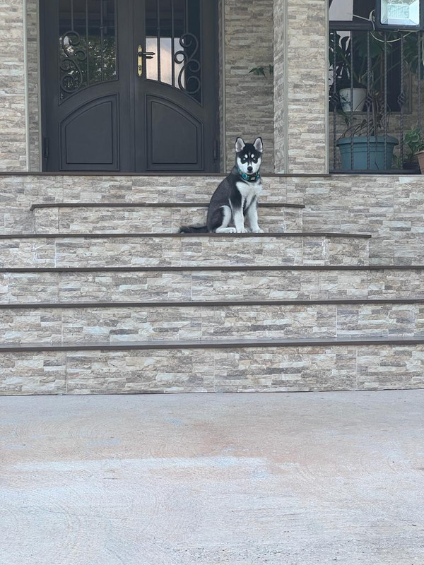 39208F41-DBF0-4655-8087-D7A07F75DC47