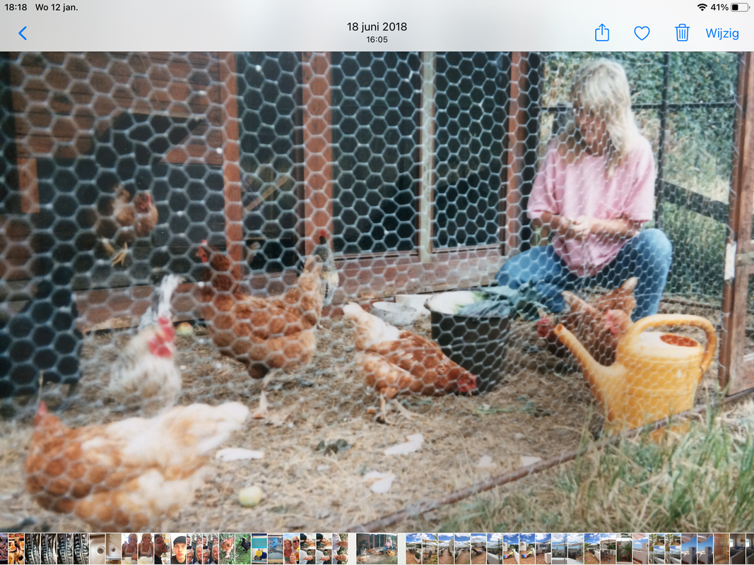 502A597B-A630-40DB-AA2A-AFA917128DE1