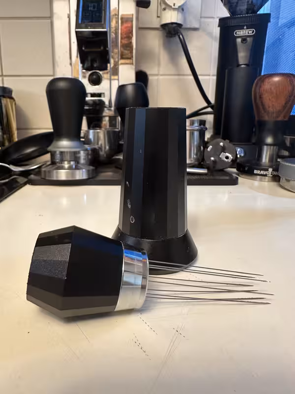 [Image: IMG-9877.avif]