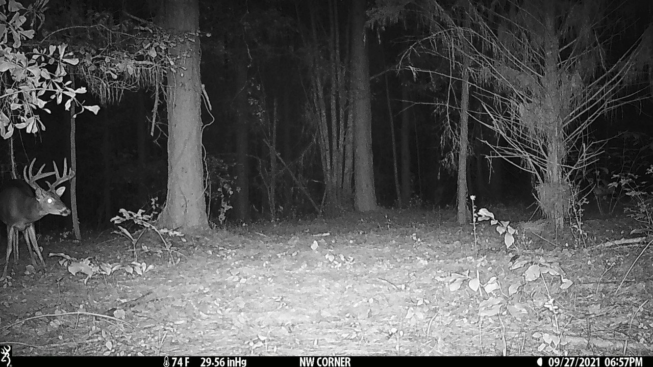 BDF522C9-B3CD-4F38-AB72-7B668D846611