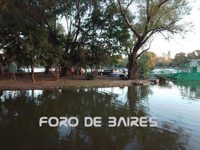 fotopalermolagoregatas4