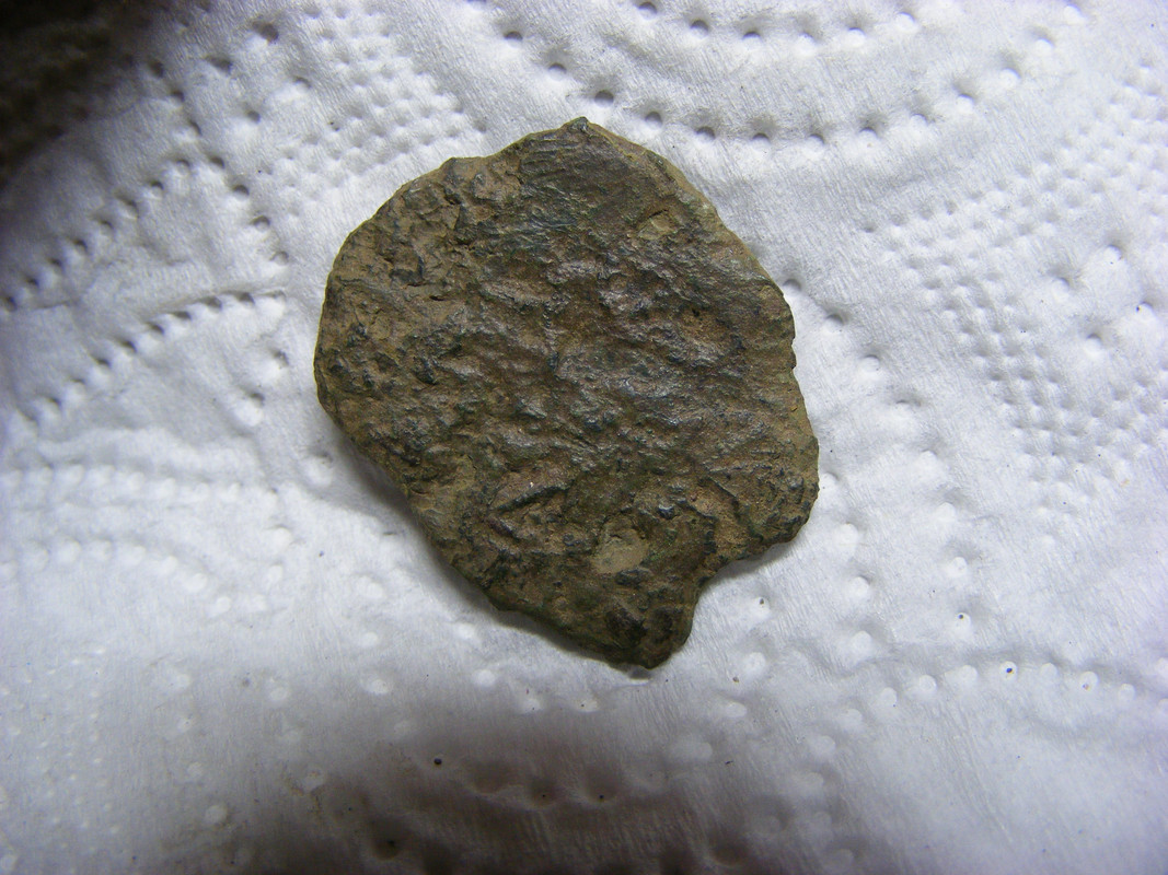 DSCF0087