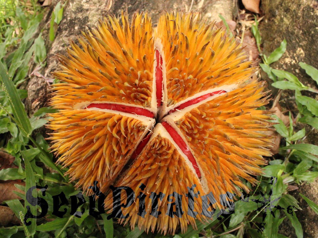 0E85EC1D-C970-45F3-A3F3-A86B5F41CDF9