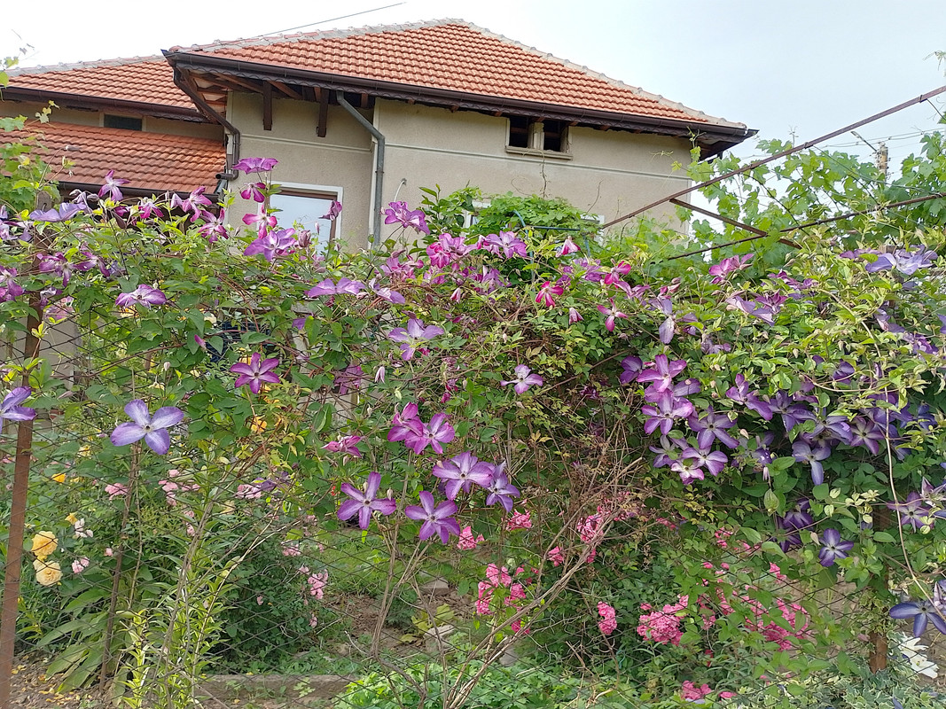IMG_20230607_184909_HDR