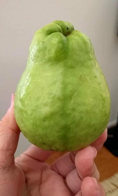 received_1642072309145508