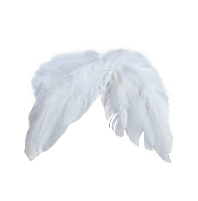 Maguette_NothingFades_el (24)