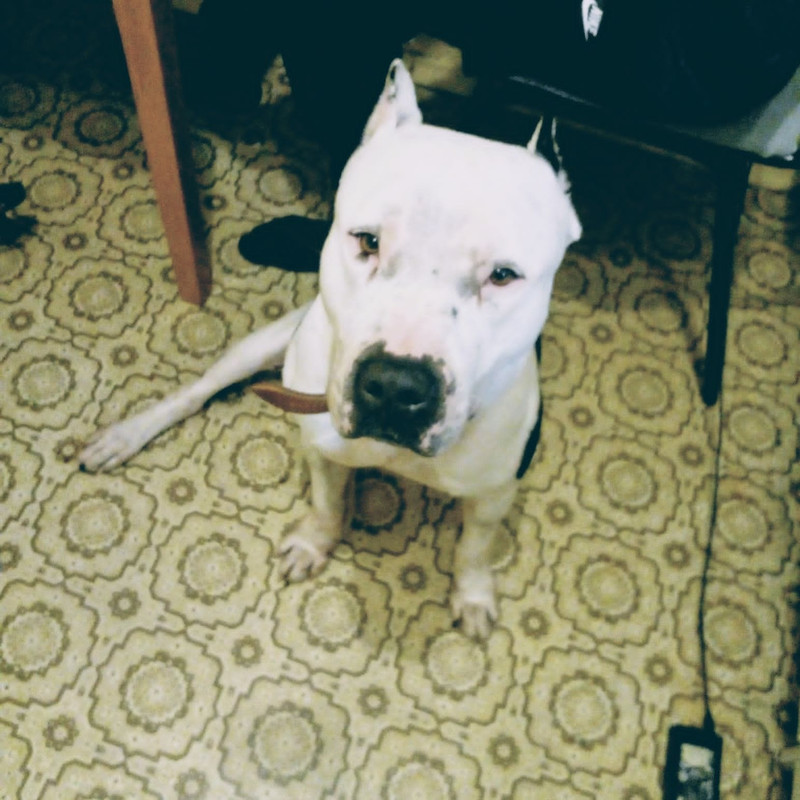 B9384927-4359-4938-A4A7-E06AD81A1AFC