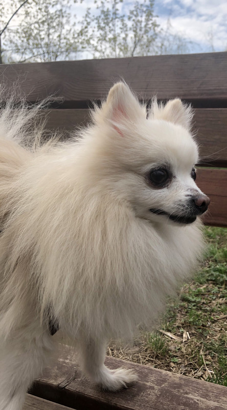 EC0E92A9-83CC-425D-9199-FEADD02FC71A