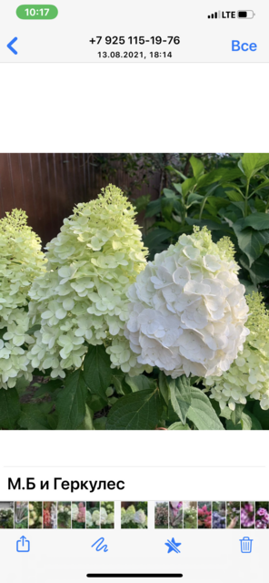 EBA28D55-BB0A-404A-B754-B5B3BF8E92C7