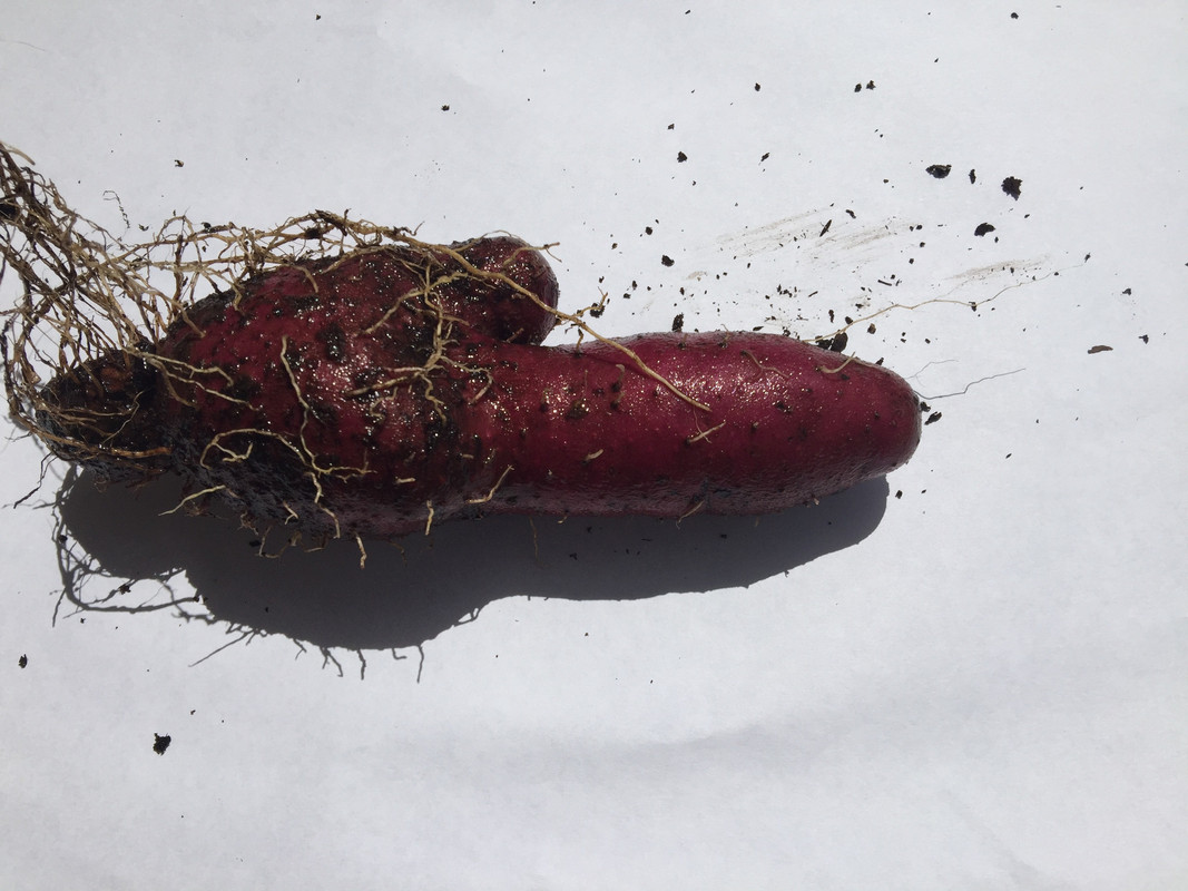 1D194CBF-4FDB-4A55-8398-D7E2A5C746D2