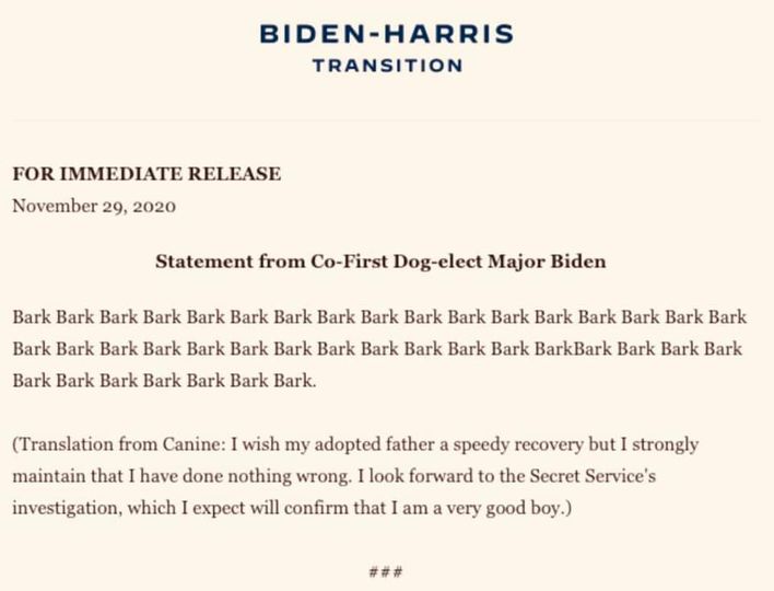dog statement