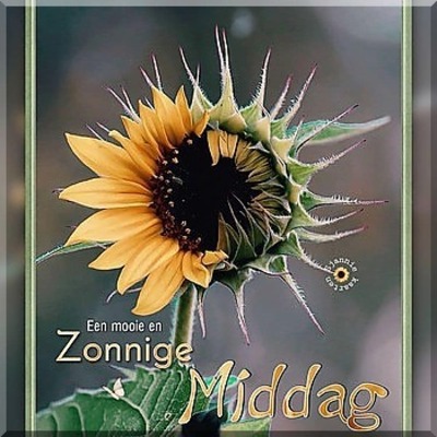 zondag.jpg  border=