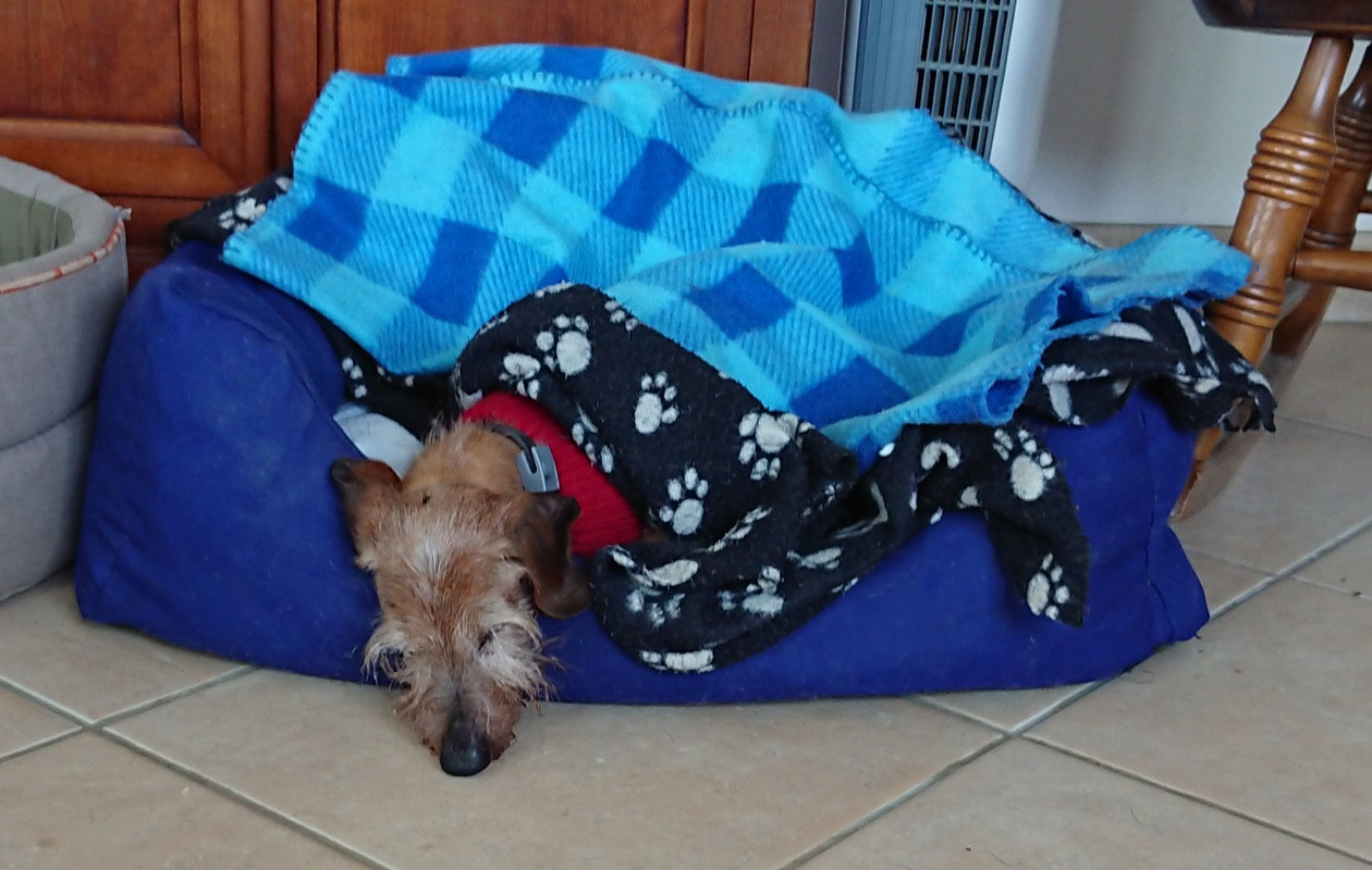 [Image: 20220908-154641.jpg]