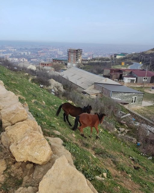 Еще немного Кавказа. Ставрополье в декабре и Дагестан в апреле