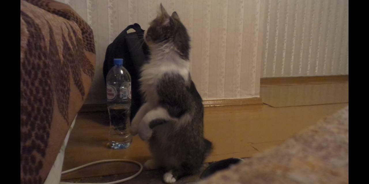 9B4EC87B-E43E-47D8-B591-9851D9359BED