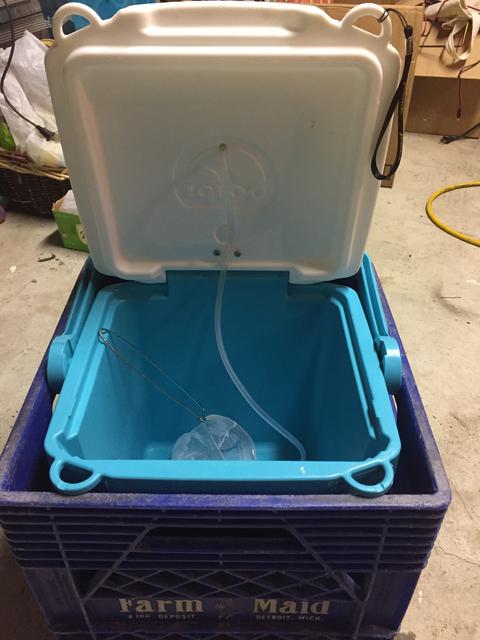 D8F16563-17AA-44D4-B5C7-FA40304FD6D3