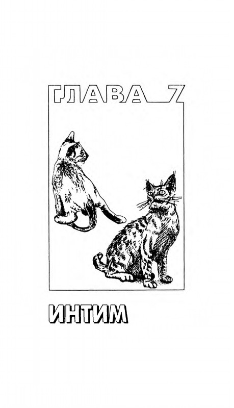 200-1995-page-0216