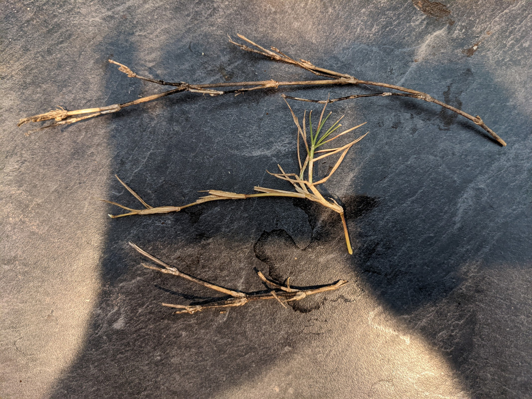 PXL_20220512_192610136