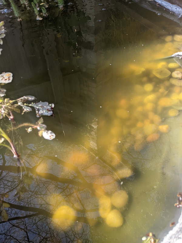 2AAFB24C-D9C8-4B5F-ACDF-215DC49A1DB2