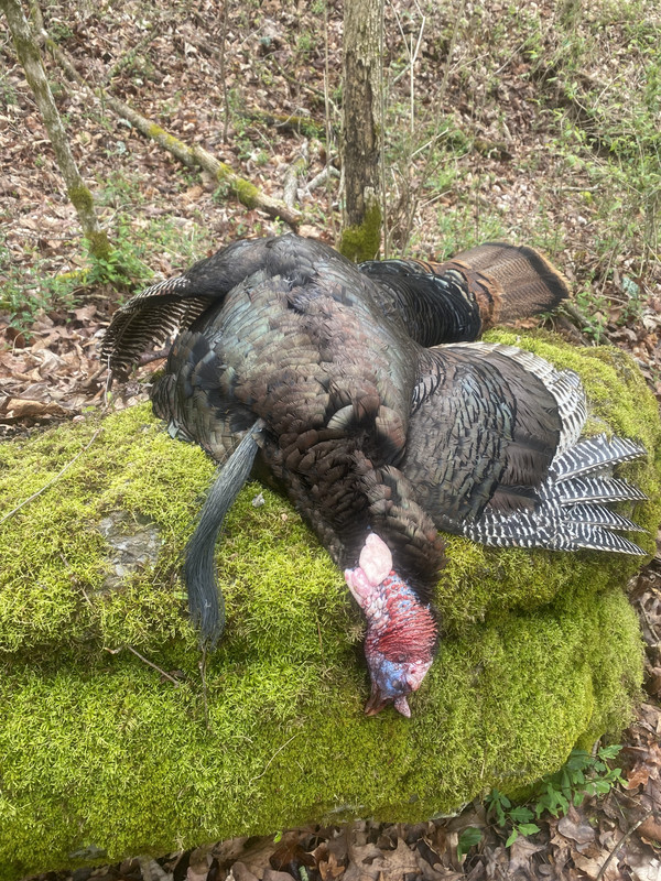 559FAC62-0301-4414-8844-68240D806B3D