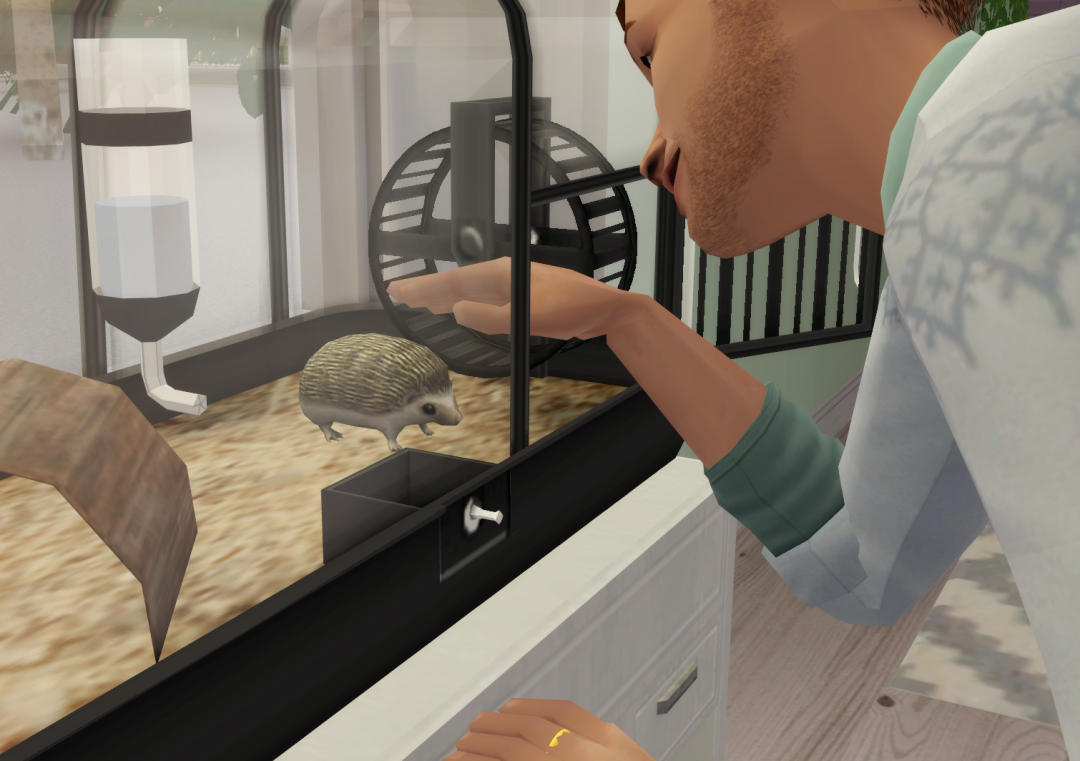 Sims2-EP9-RPC-2022-10-10-15-17-41-24