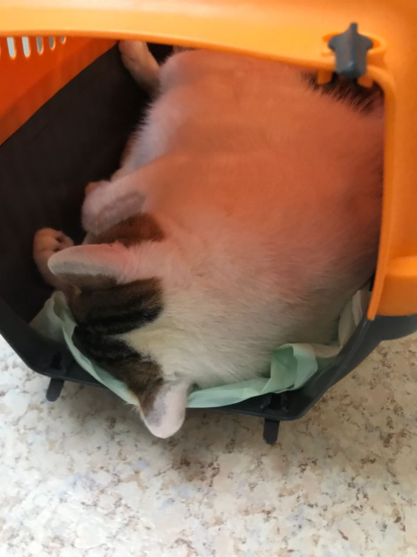 2D925FC5-5DC3-4E95-83EE-A917EC492F00