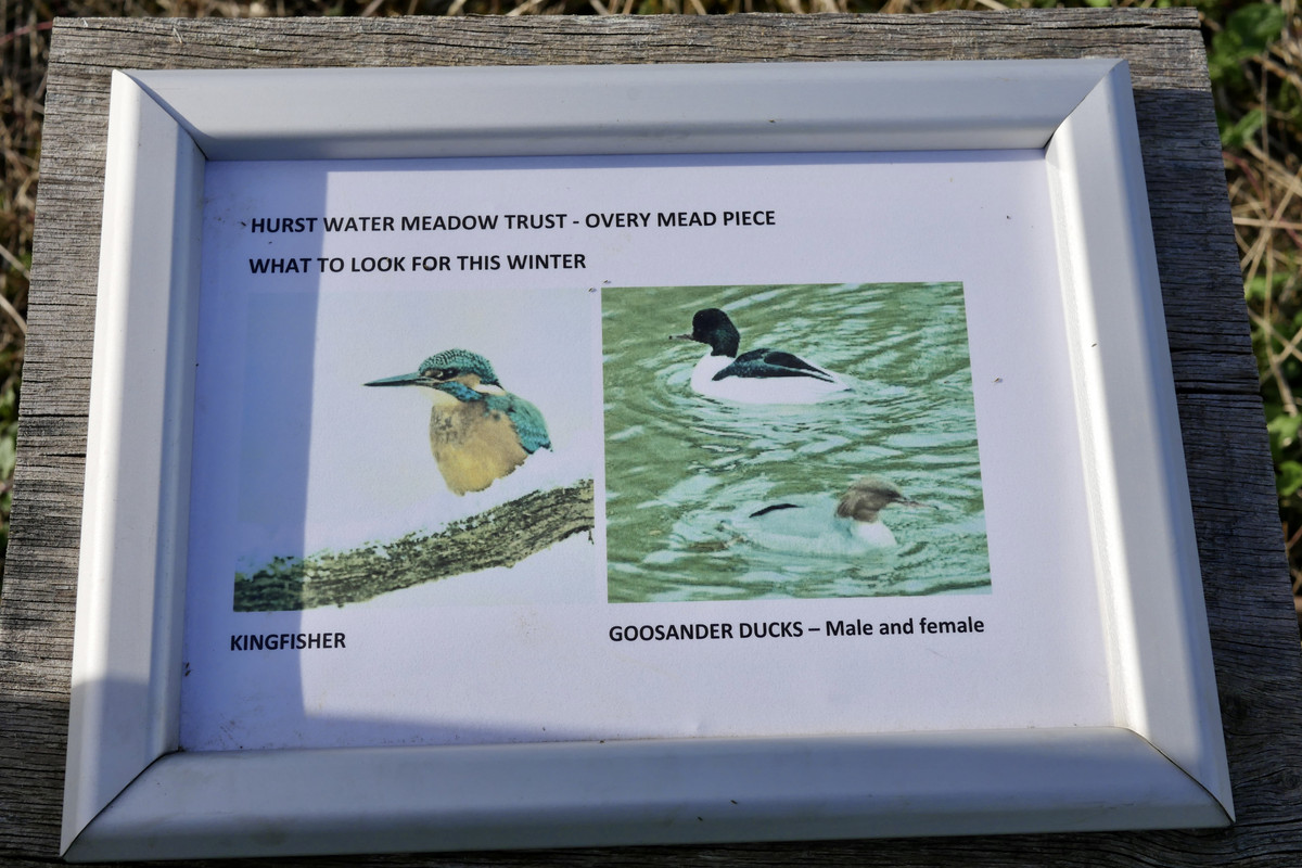 77C299A3-08A3-4B83-B784-BB1A0C377D86