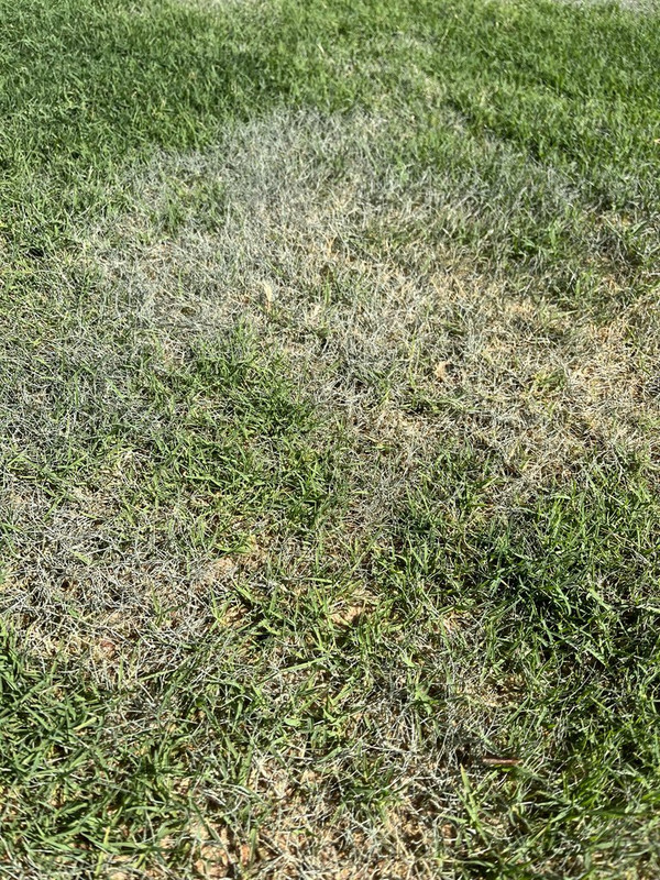 6C1F9D50-570B-4619-9F29-AB76305AEF9C