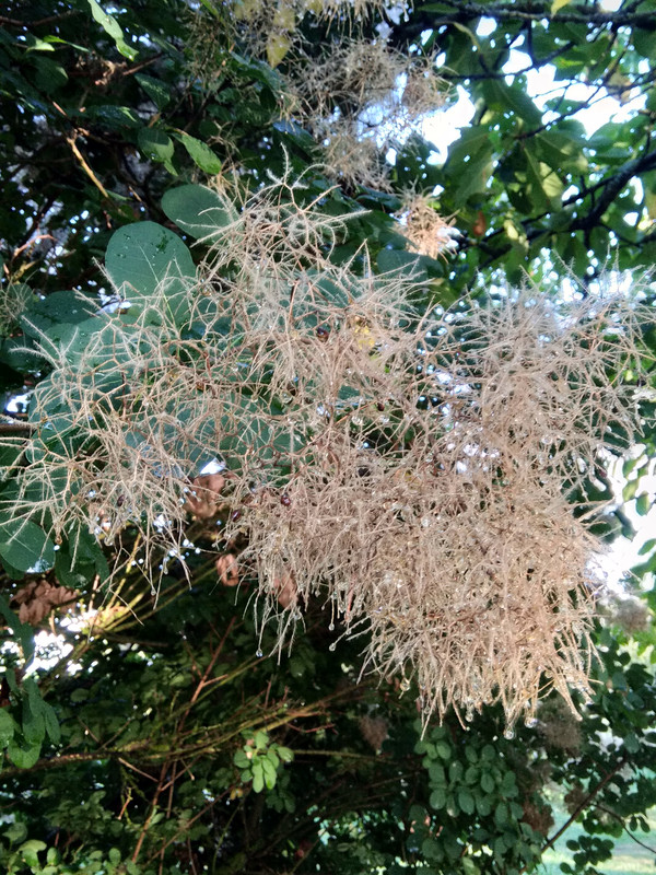 [Image: IMG-20220830-191736.jpg]