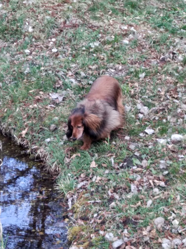 [Image: IMG-20220330-141359.jpg]