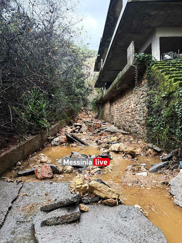 ΚΙΤΡΙΕΣ εικόνα_Viber_2025-01-13_10-42-47-984