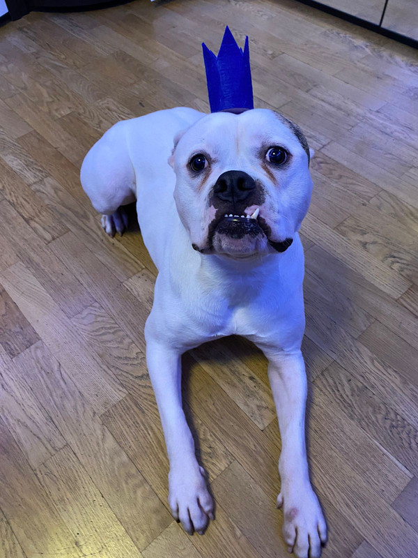 934ADB2D-6BBA-47D7-88C2-D63C9331F869