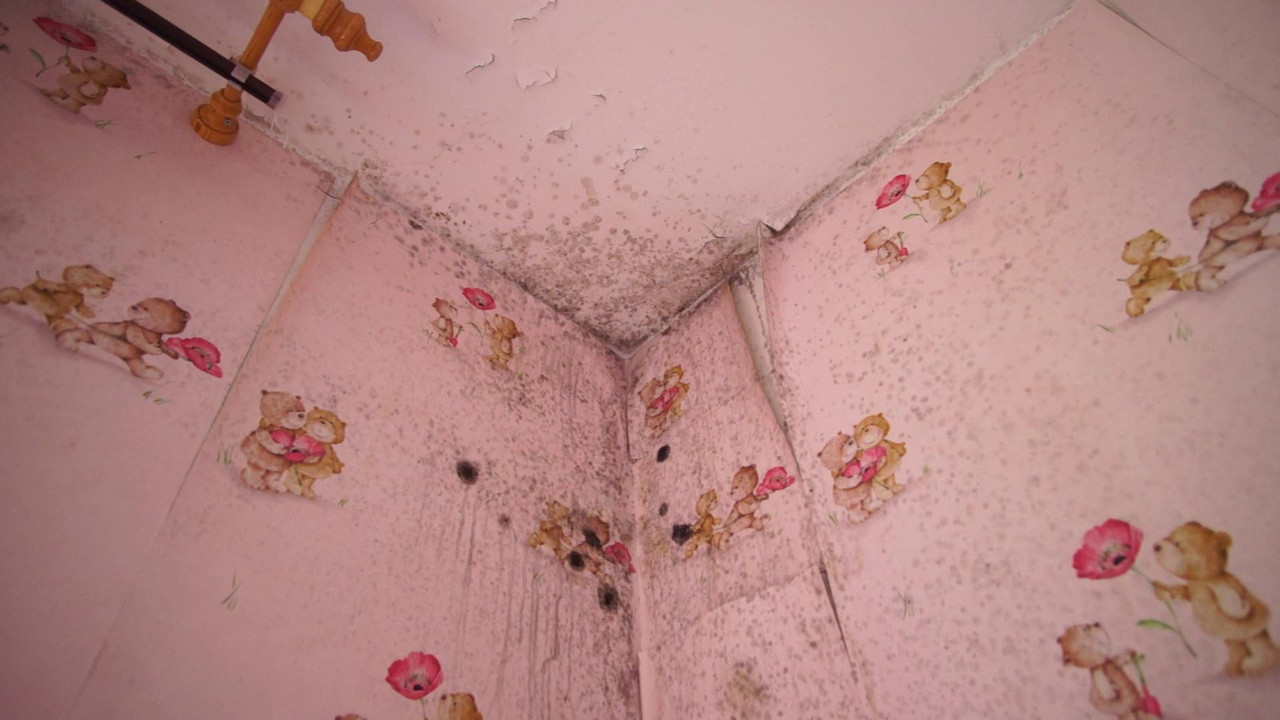 vlcsnap-2022-06-13-18h32m20s573