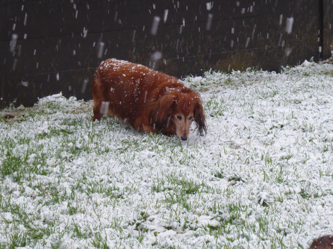 [Image: P1010894.jpg]