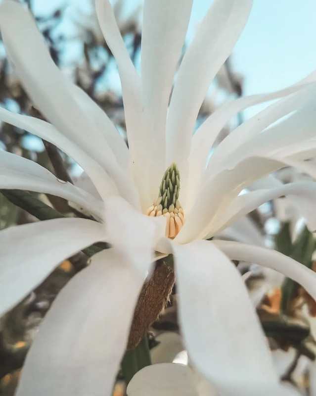 IMG 20260406 180227 177