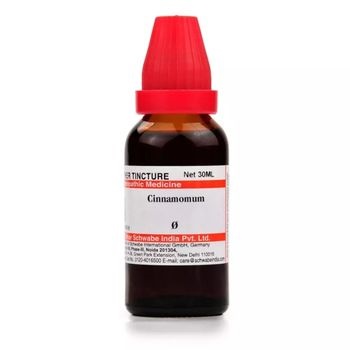 Willmar Schwabe India Cinnamomum 1X (Q) (30ml)