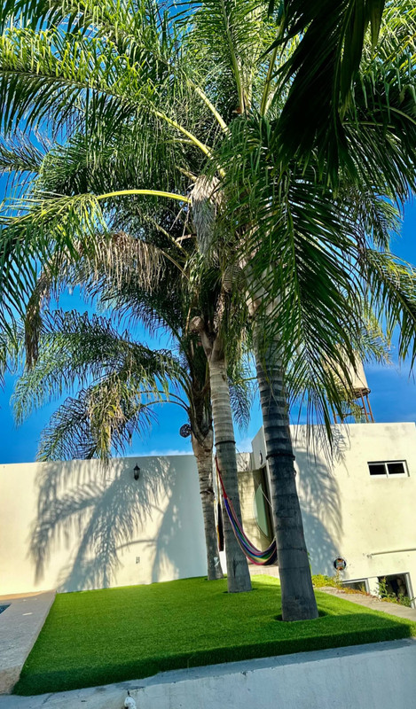 Espacio para foto nueva