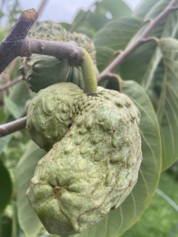 C01022F5-FBF1-4788-8CA3-61C2827835D2