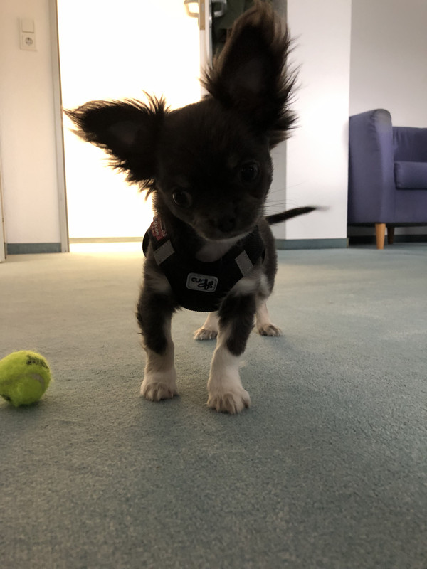 1DAE5E80-A463-4946-AAF9-E0D398AD9CFC