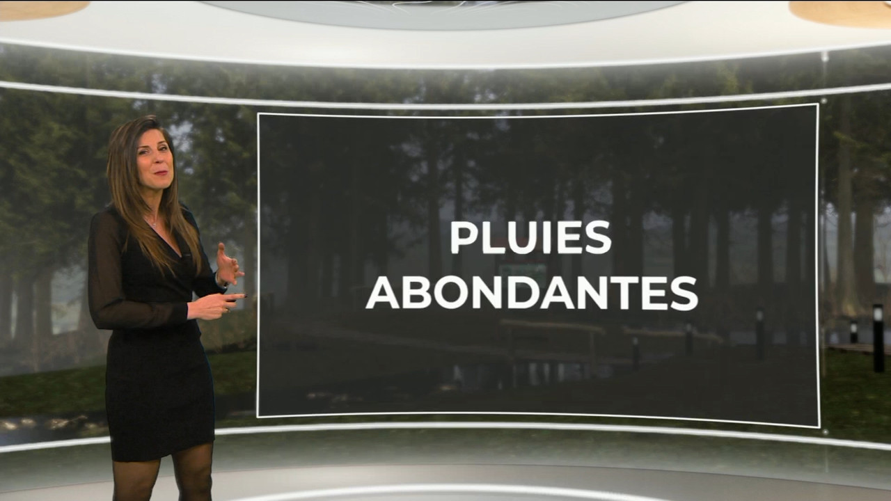 12.19 - 11.45.00 - Contacts. Verkeerstips.ts_snapshot_15.49.409