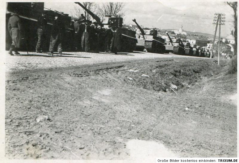 YD3HBdCjm0fE136371857709P4415