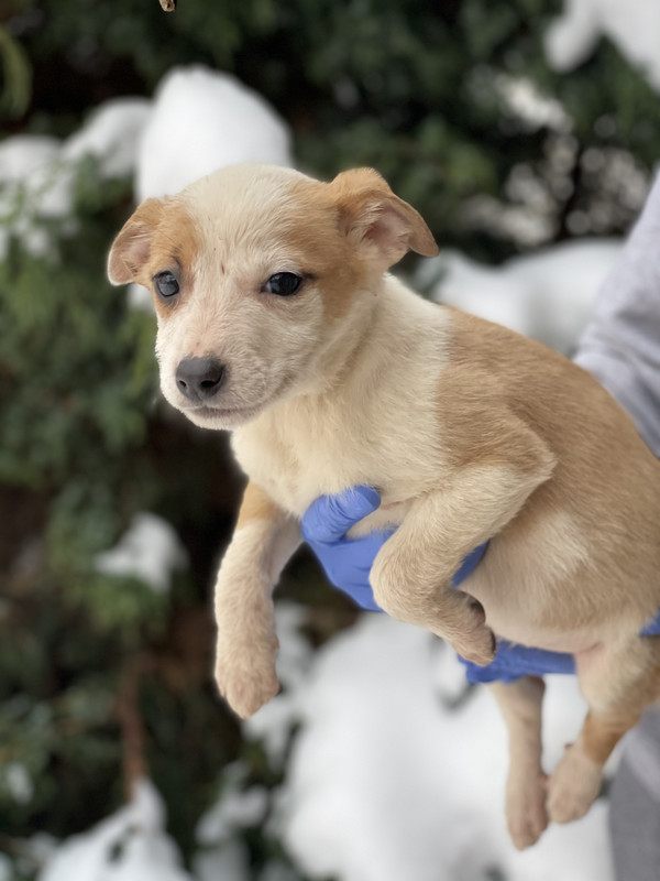 4011FAAC-7287-4371-AB1E-577D95C17D53