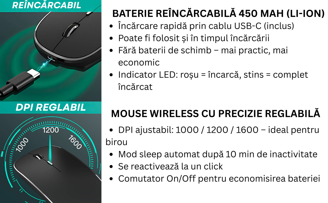Mouse NETSTAT Prezentare 4