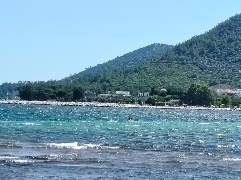 Slika