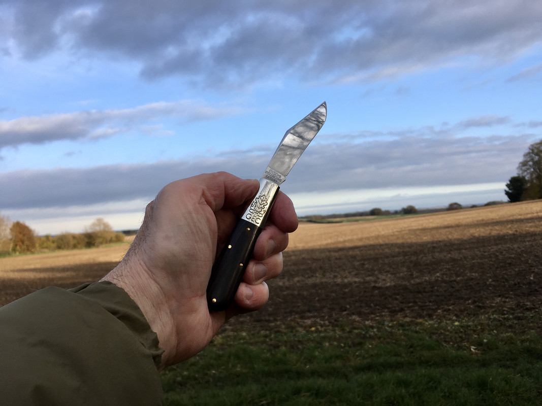 1DB4AD2A-E693-4766-8BE0-8870084B5A02