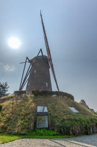 d47120a4dd3345b58ae5604345539eda