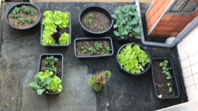 FB32EAFE-C294-4929-A889-0F1CB64974EF