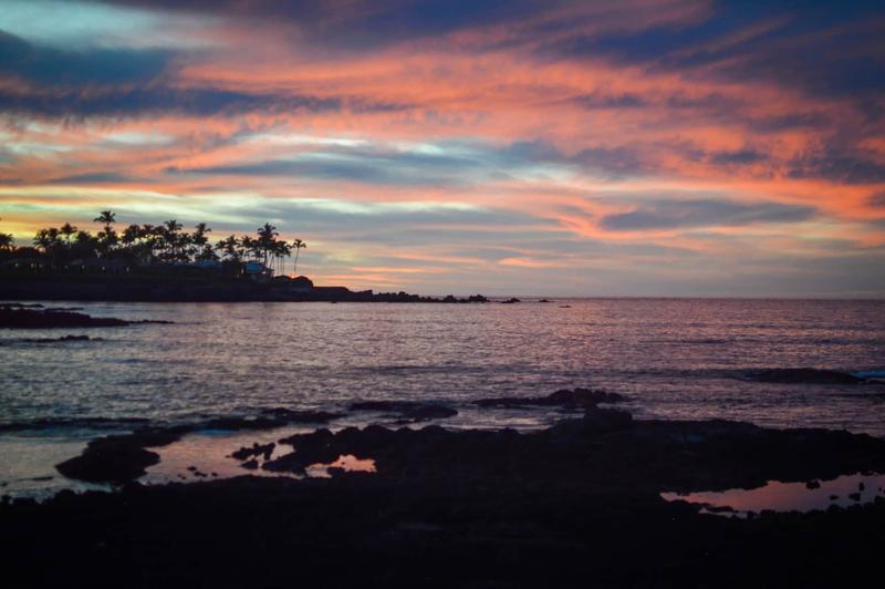 Humpback whale watching Kohala Coast Big Island Hawaii