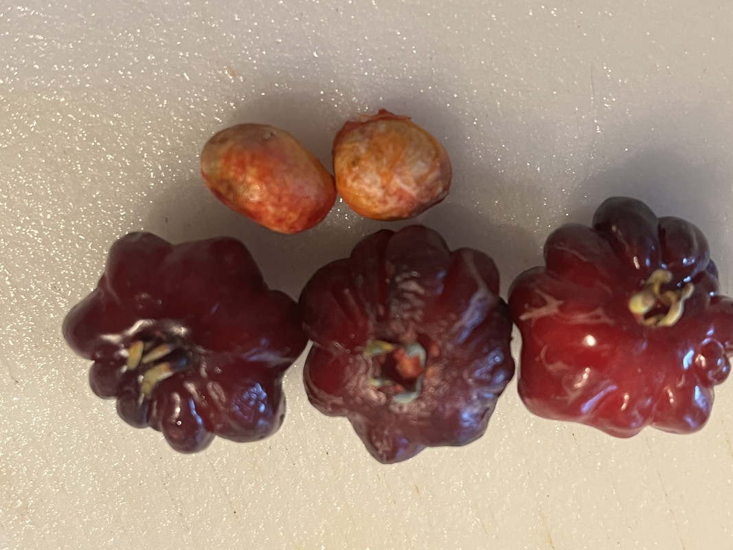 7874D5B3-9268-457C-98F5-32C9E9A5076D